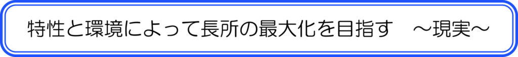 特性と環境によって長所の最大化を目指す　～現実～